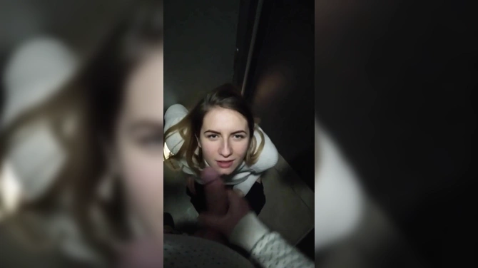 Молодая студентка сосет в туалете под эпичный саундтрек